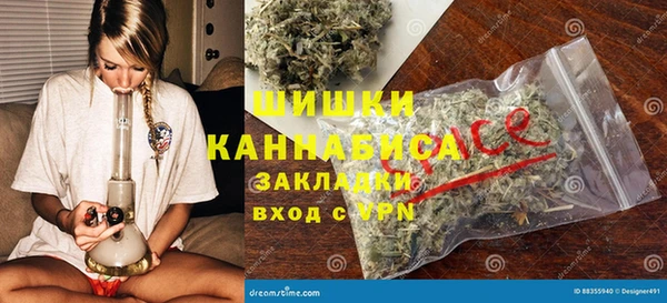 СК Снежногорск