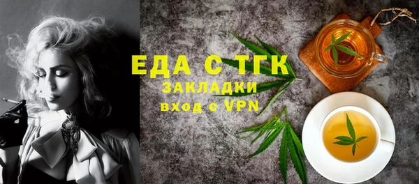 СК Снежногорск