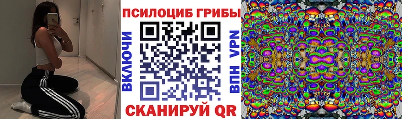Галлюциногенные грибы ЛСД Касли